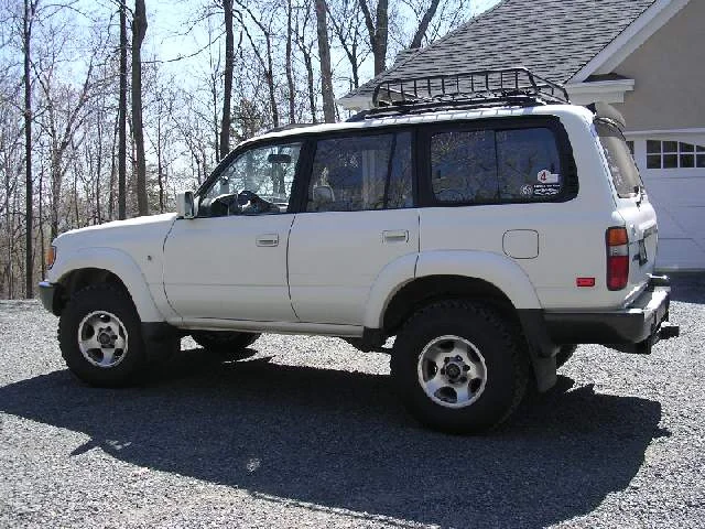 Brandons pics 004.webp