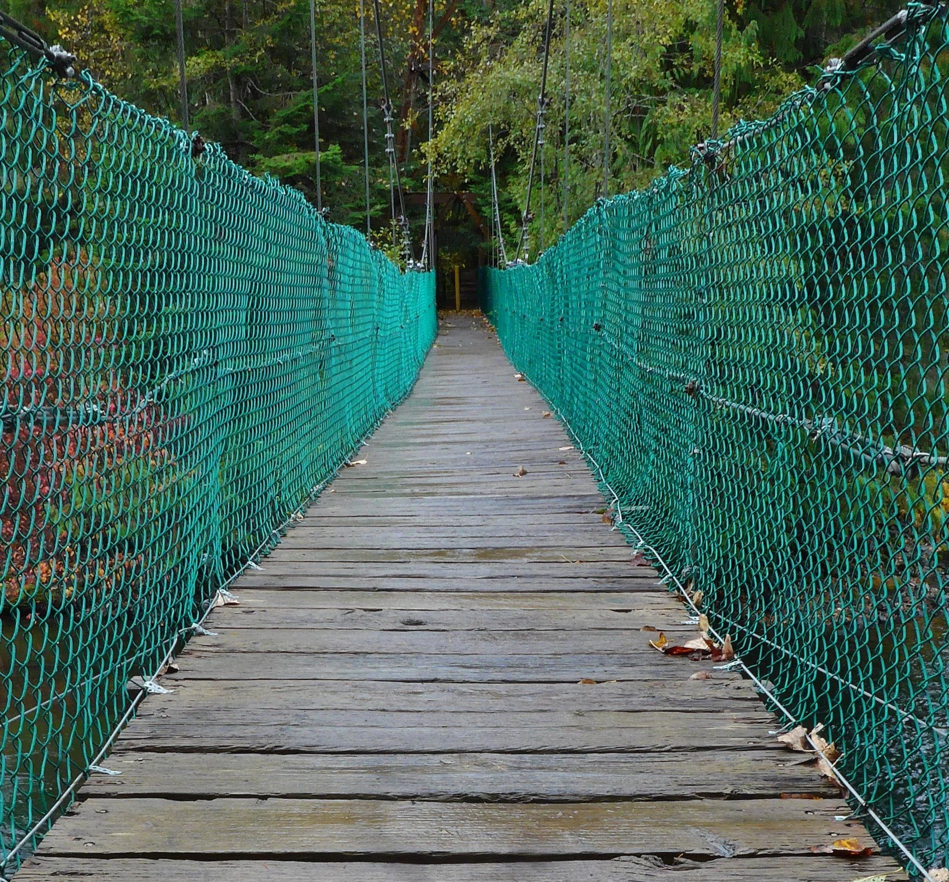 Bridge.webp