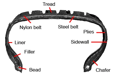 Bridgestone_tire_cross_section.webp
