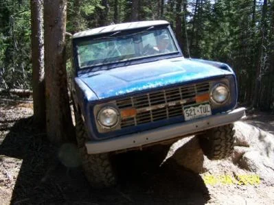 Bronco.webp