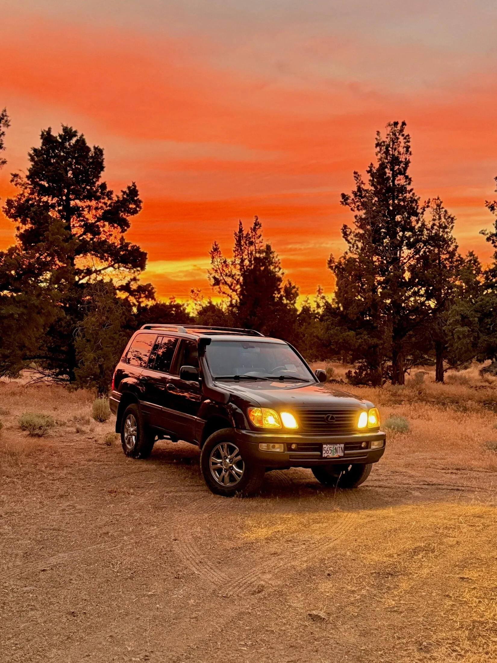 Bruiser in Bend.webp