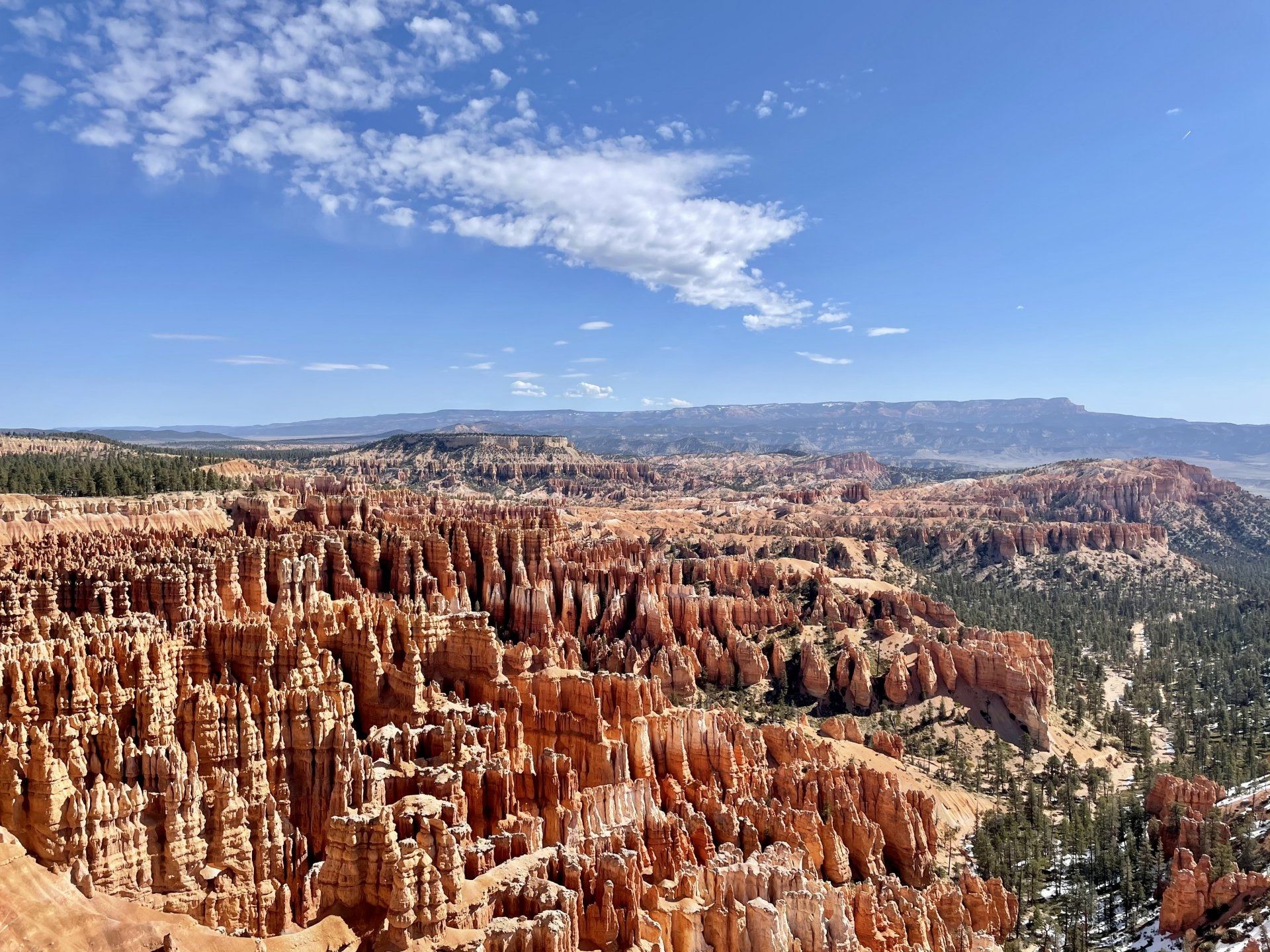 Bryce .jpg