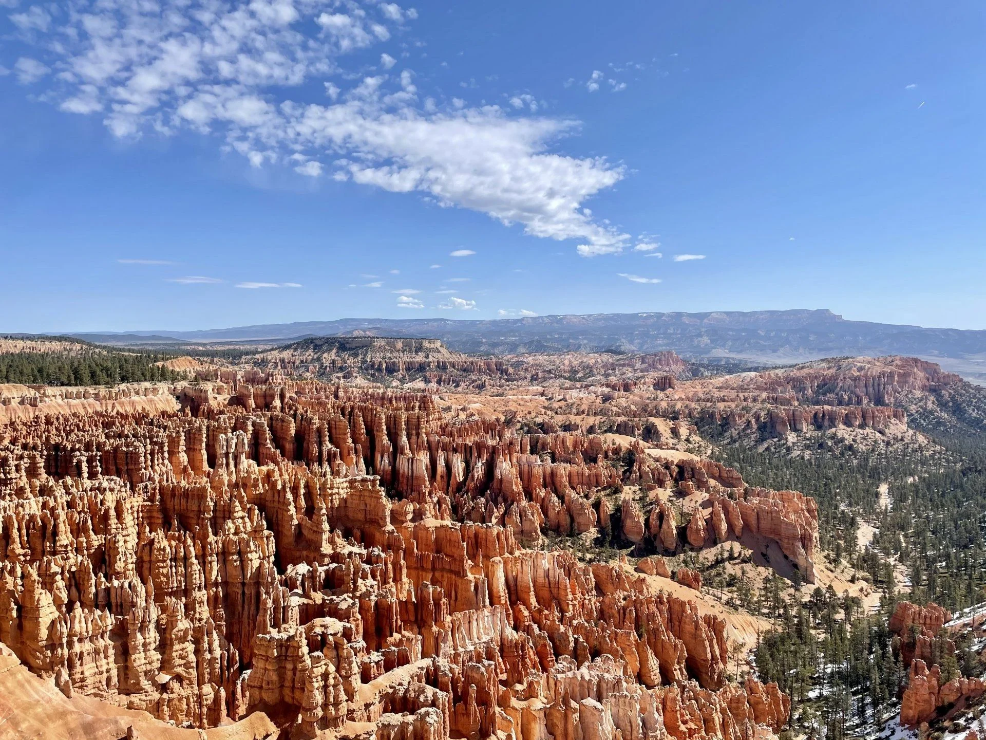 Bryce .jpg