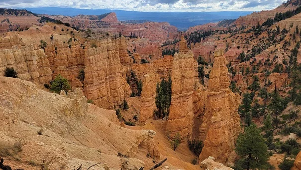 Bryce.jpg