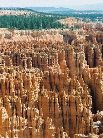Bryce.webp