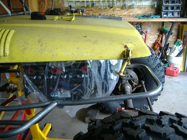 Buggypics1 026.webp