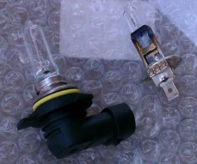 bulbs.webp