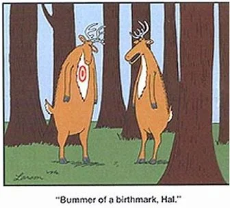bullseye.webp
