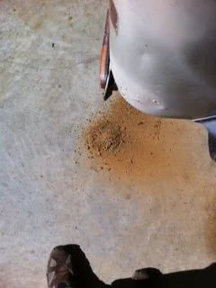 bumper dirt.webp