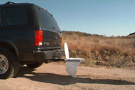 bumper dumper.webp