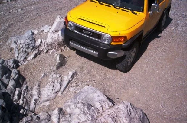 Bumper Rock.webp