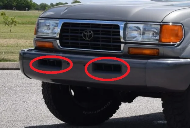 bumper.webp