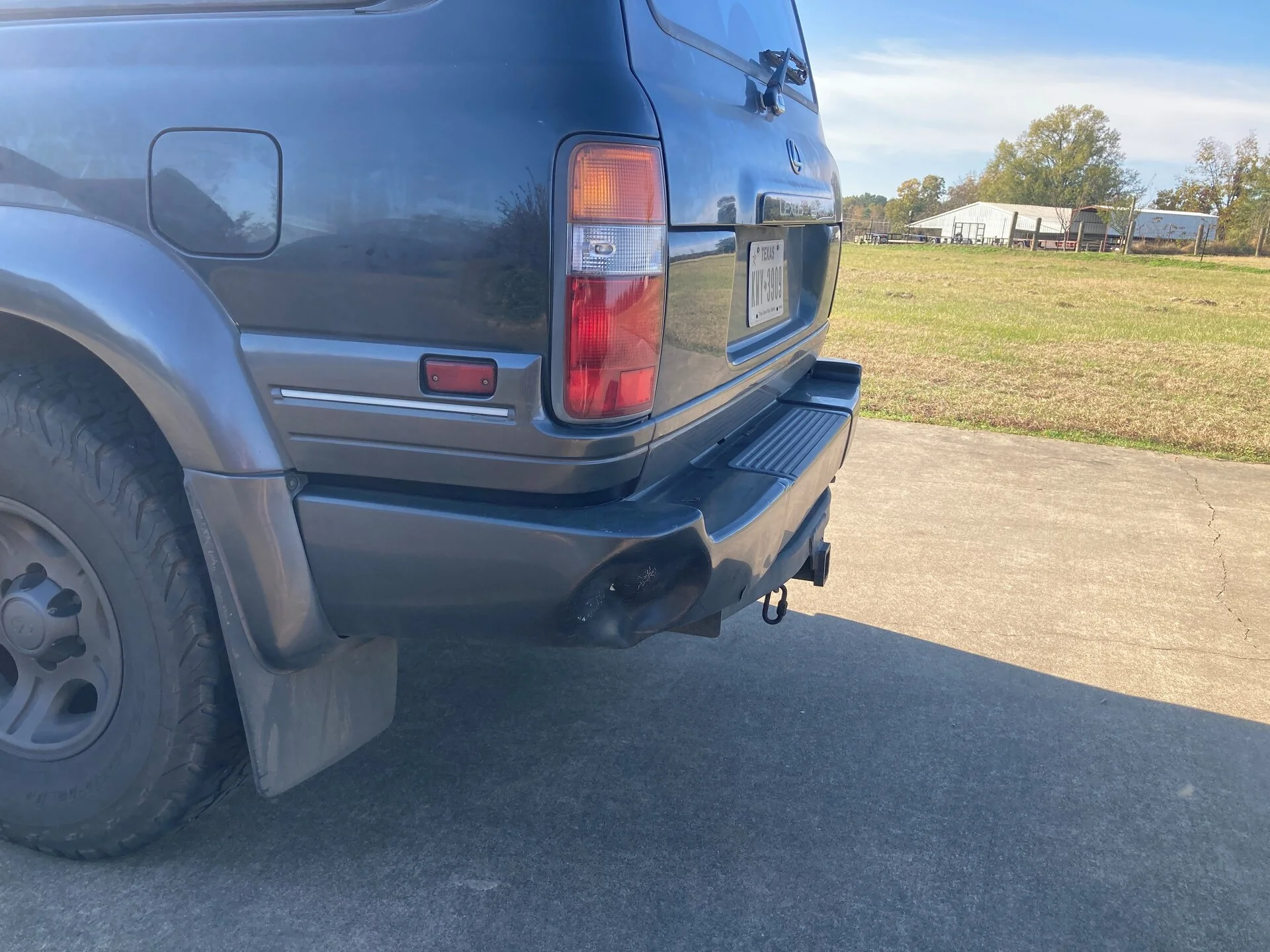 Bumper.webp