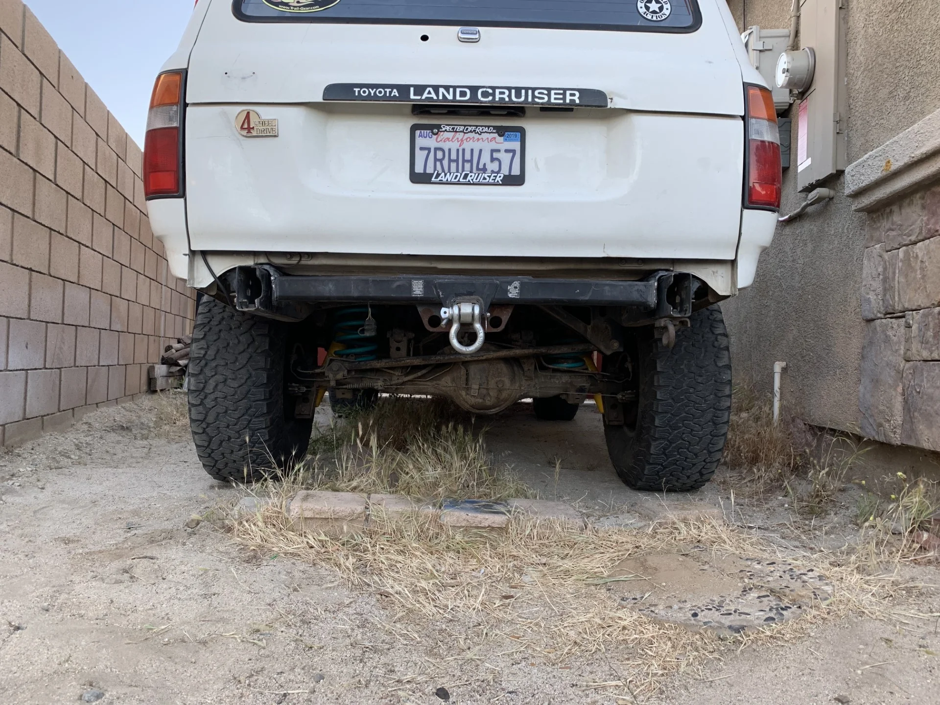 bumper1.webp
