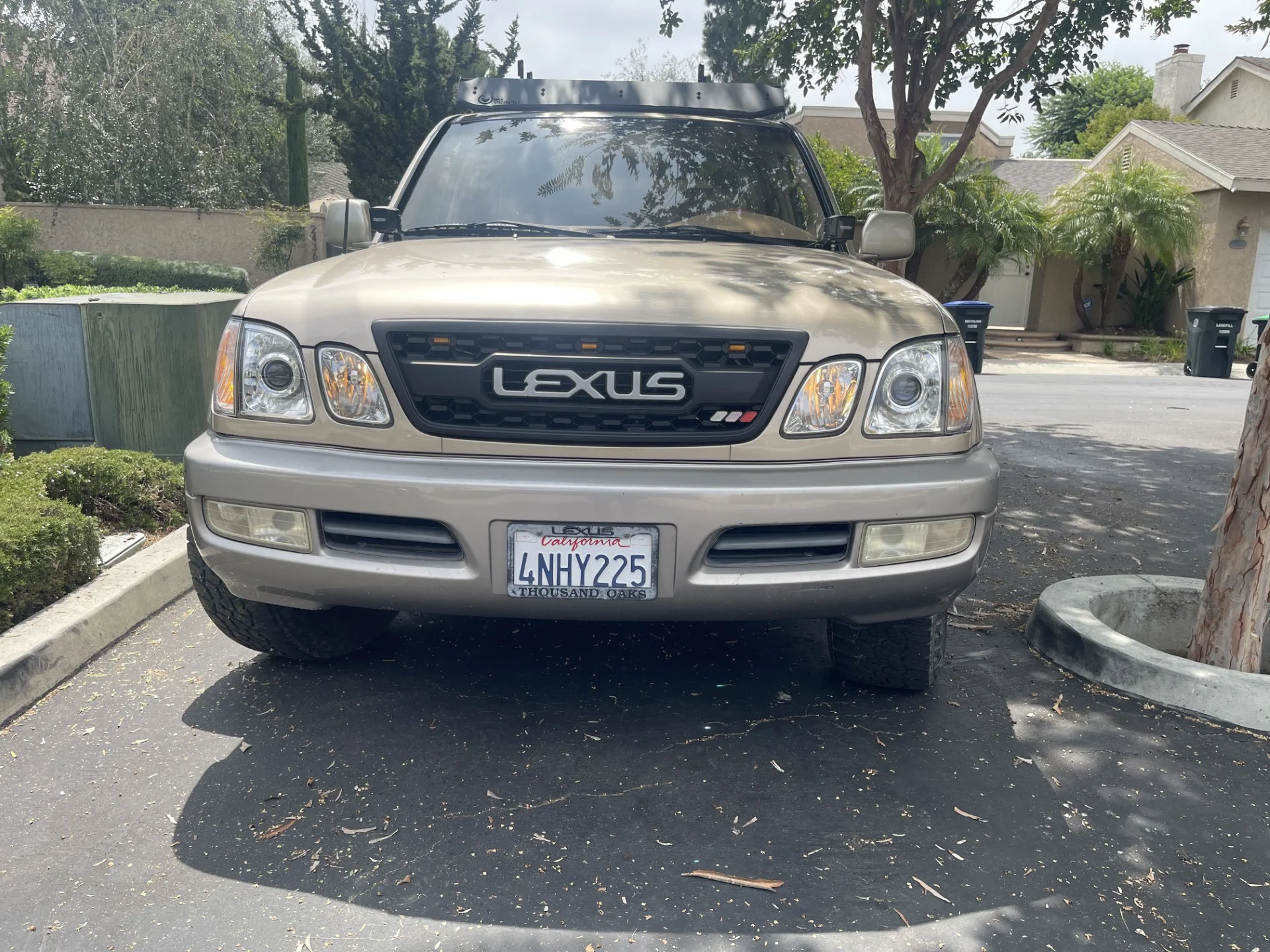 bumper11.webp