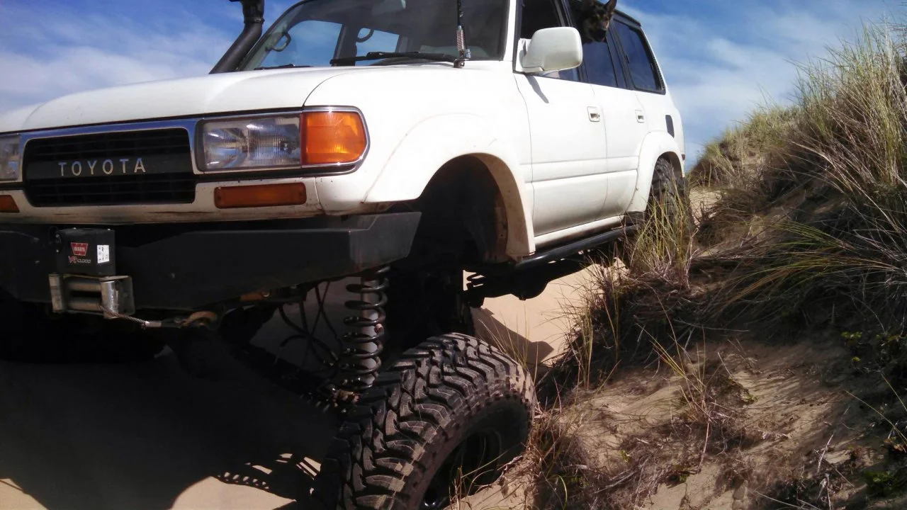 bumper2.webp