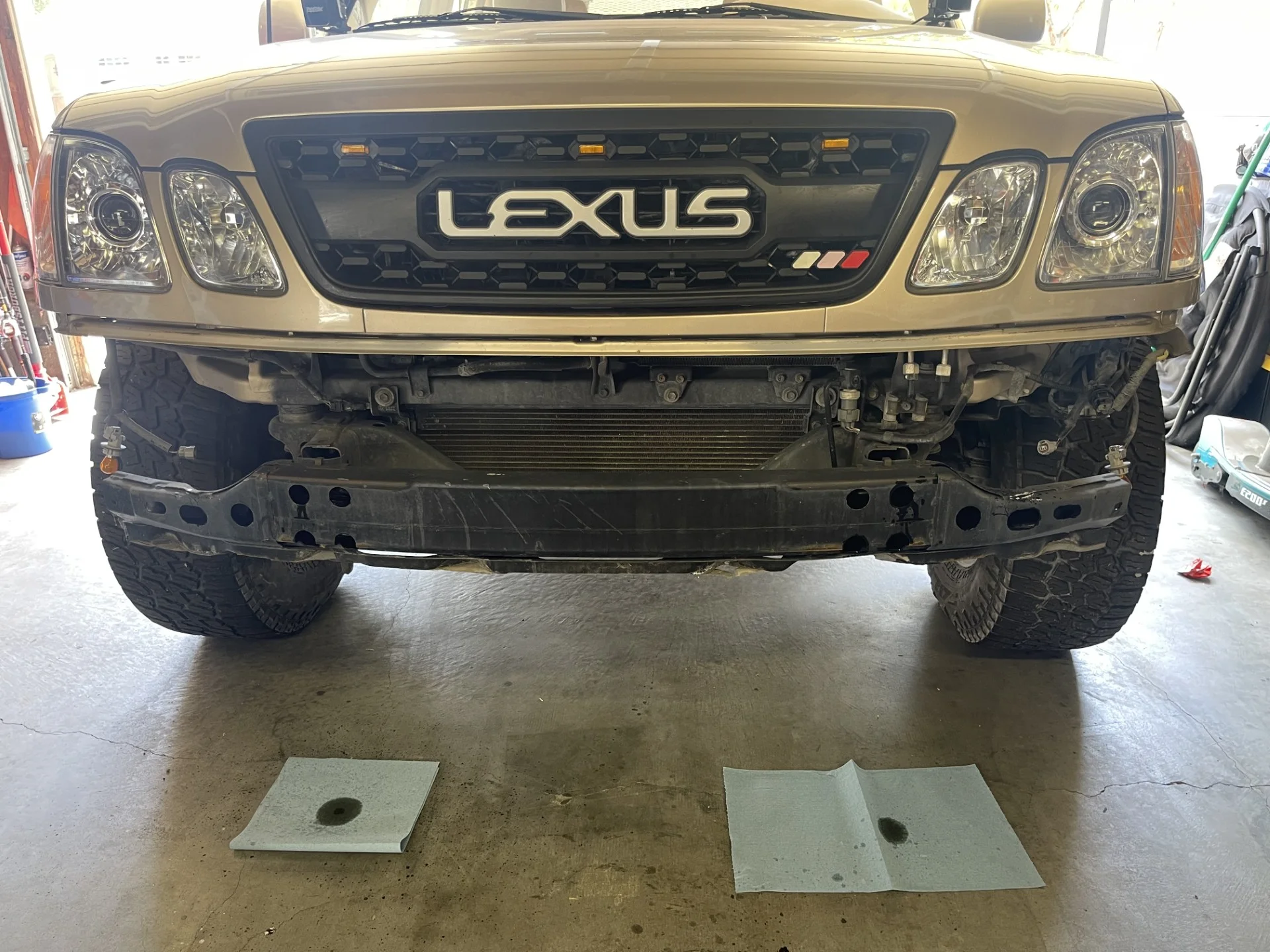 bumper2.webp