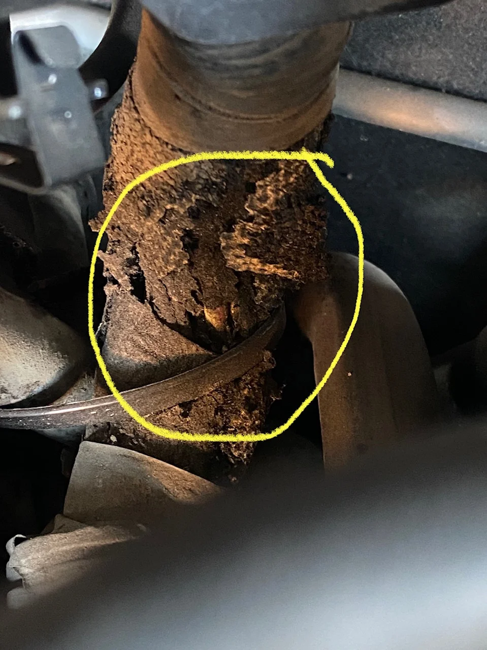 burnt harness.jpg
