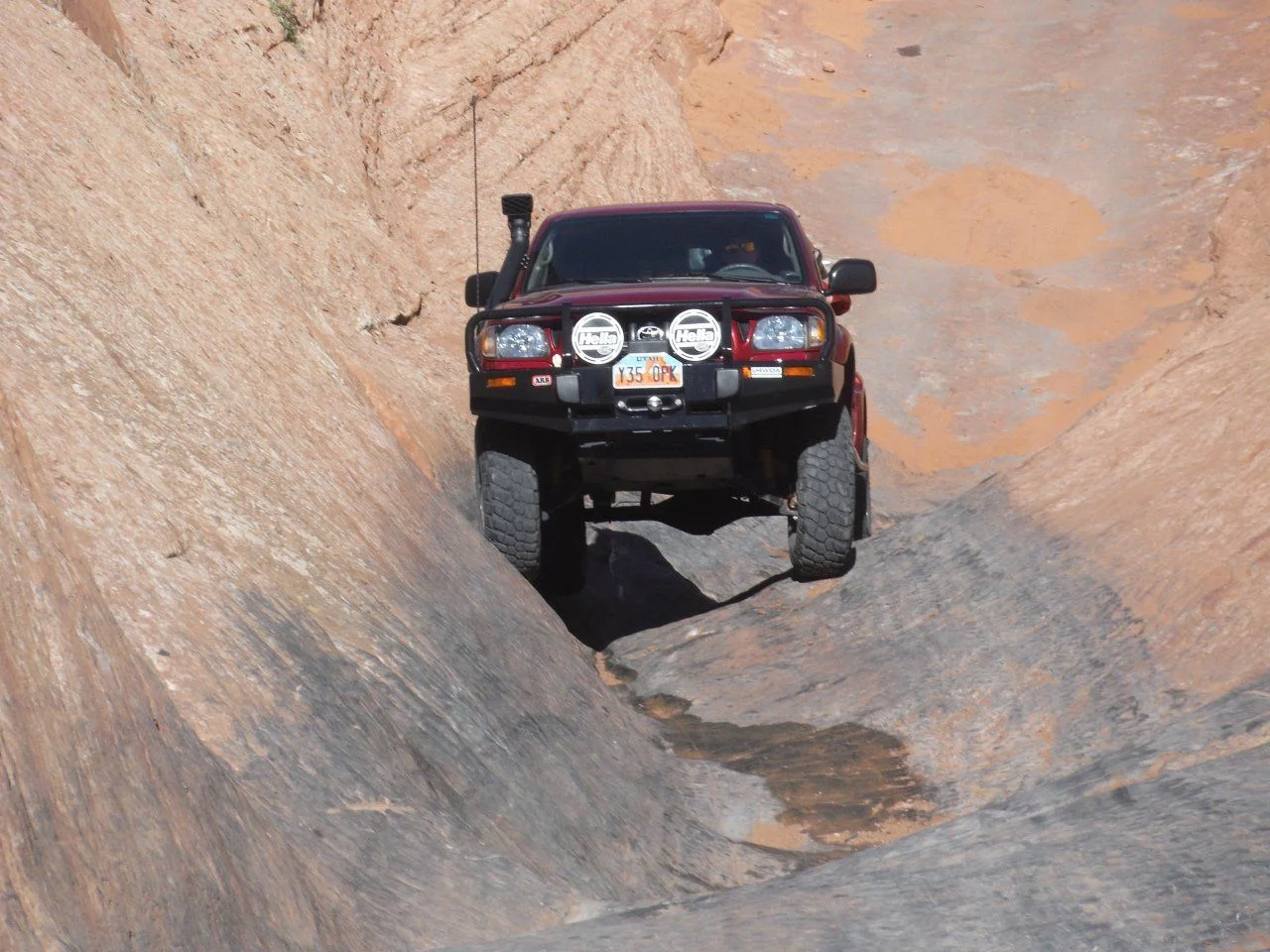 Burt Moab 194.webp