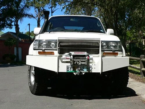 BUSHPIG 1 yy.webp
