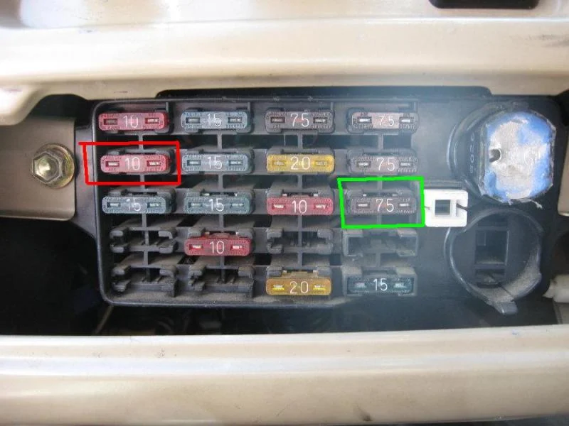 buzzer0003.webp