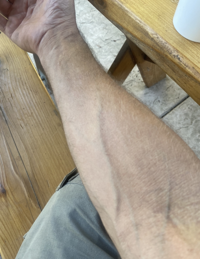 C1B39E41-5DF7-48DD-A6D5-73B7BF6C1003.jpeg