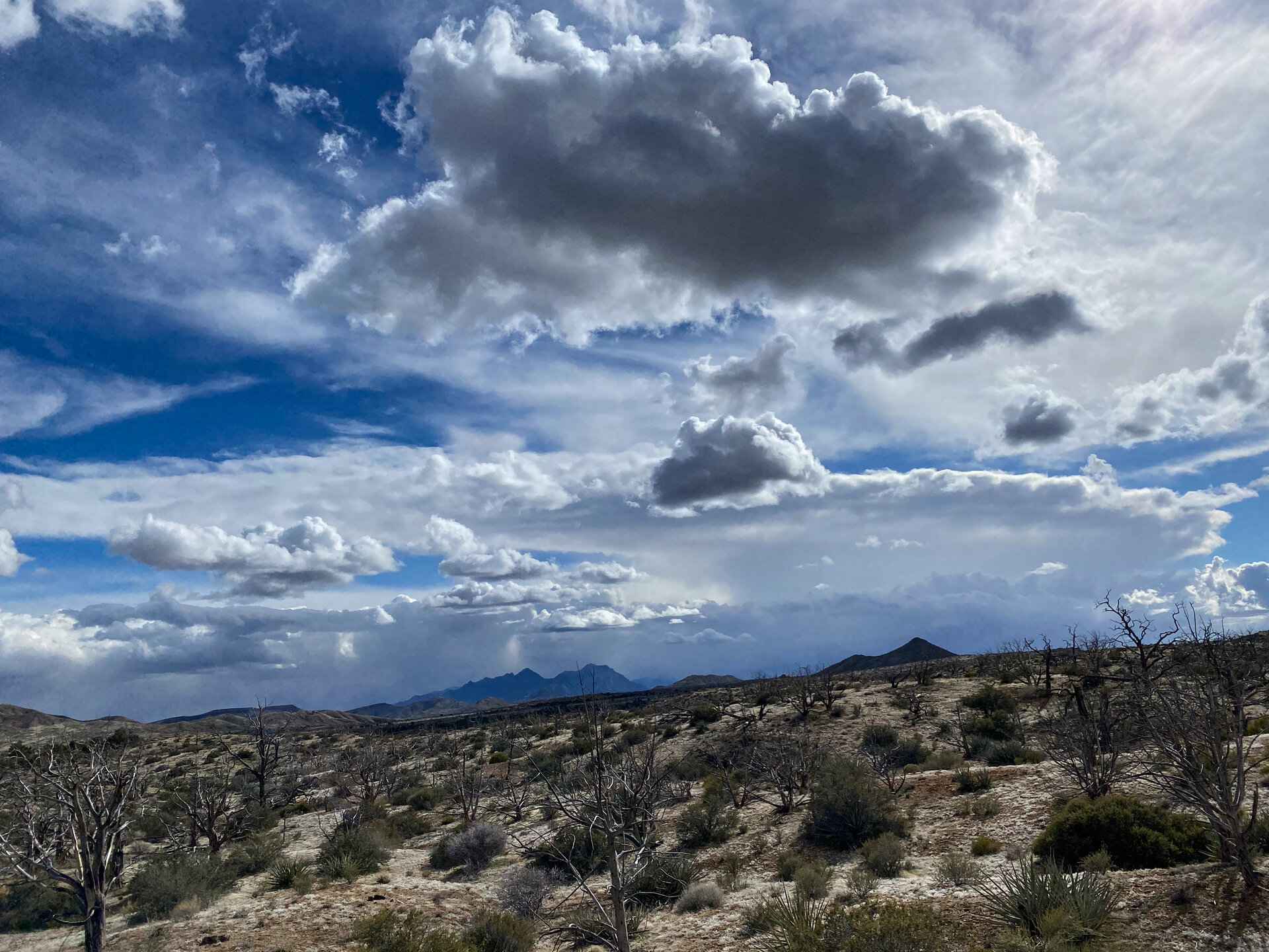 C24A2561-032A-4CF3-AA1D-207993C90A93.jpeg