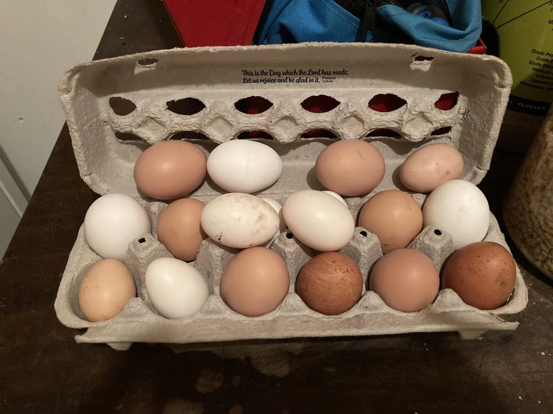 C2D1297D-48DA-4A58-992C-CDFEB3AFBD07.jpeg