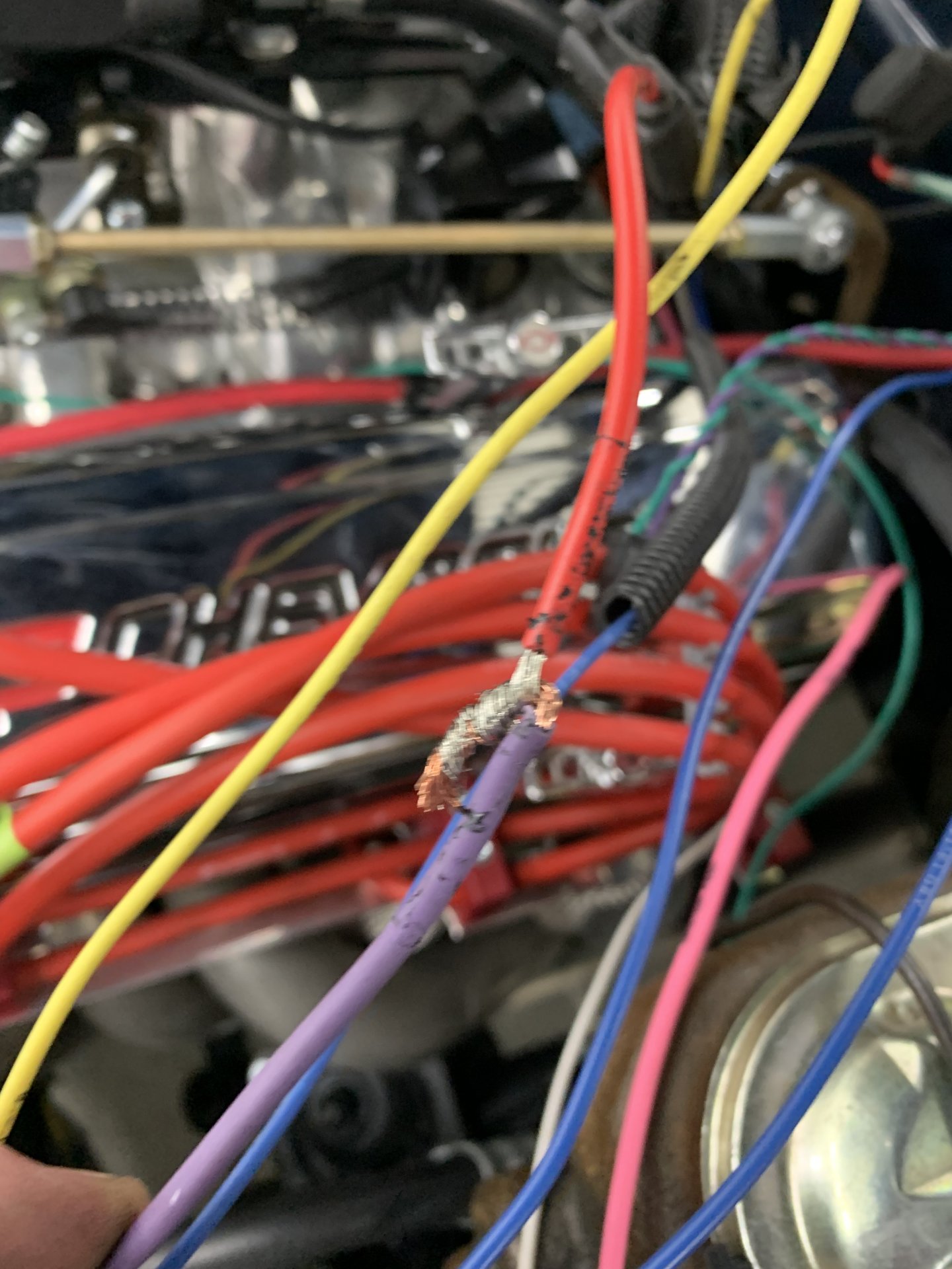 C32C1322-FA96-4305-8E1D-EA35E15F5DF4.jpeg