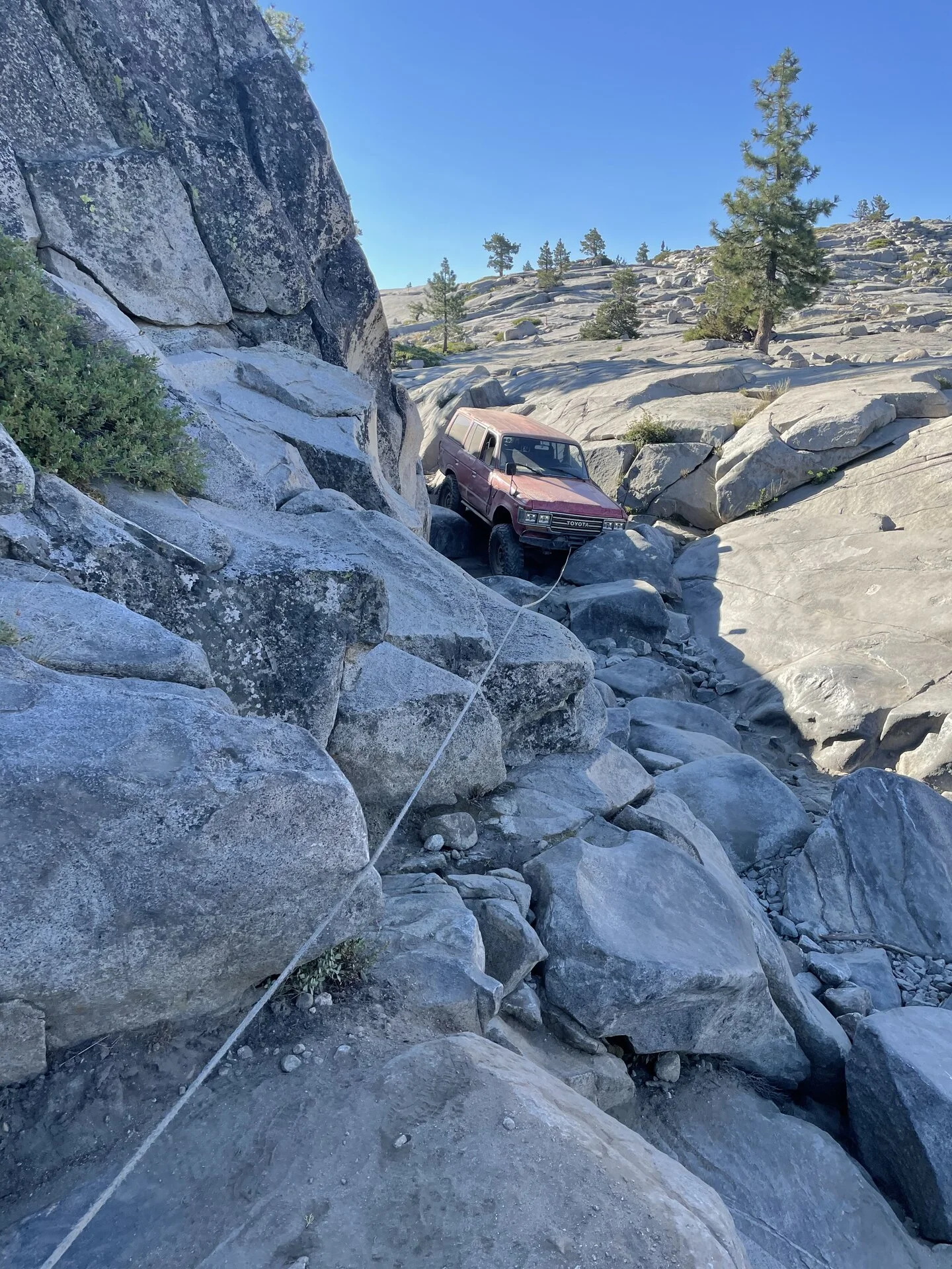 C3AE6646-C2E9-4BE2-81B5-17C45627233B.jpeg