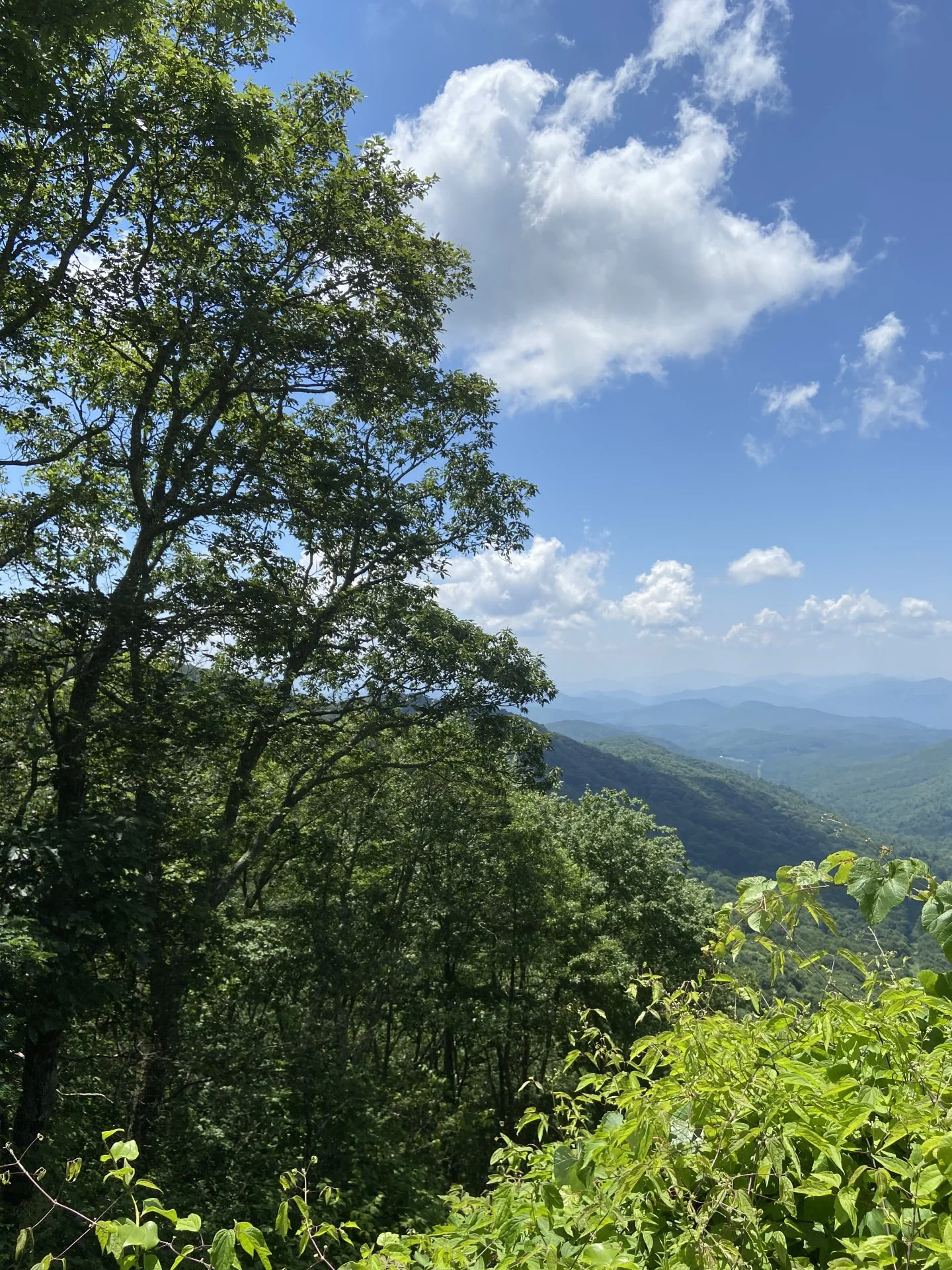 C7192FF0-41E3-4E76-9F57-04043C15F69D.jpeg