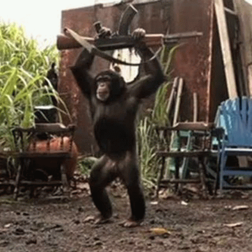 C7F2C181-D857-46CD-8E20-964AEF977A23.gif