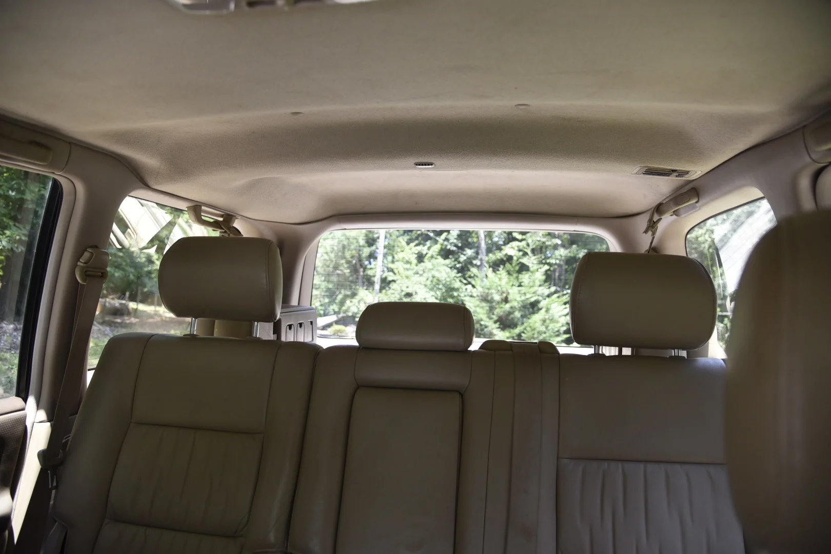 C857D07A-AB73-42BA-A621-D86F85CFFD35.webp