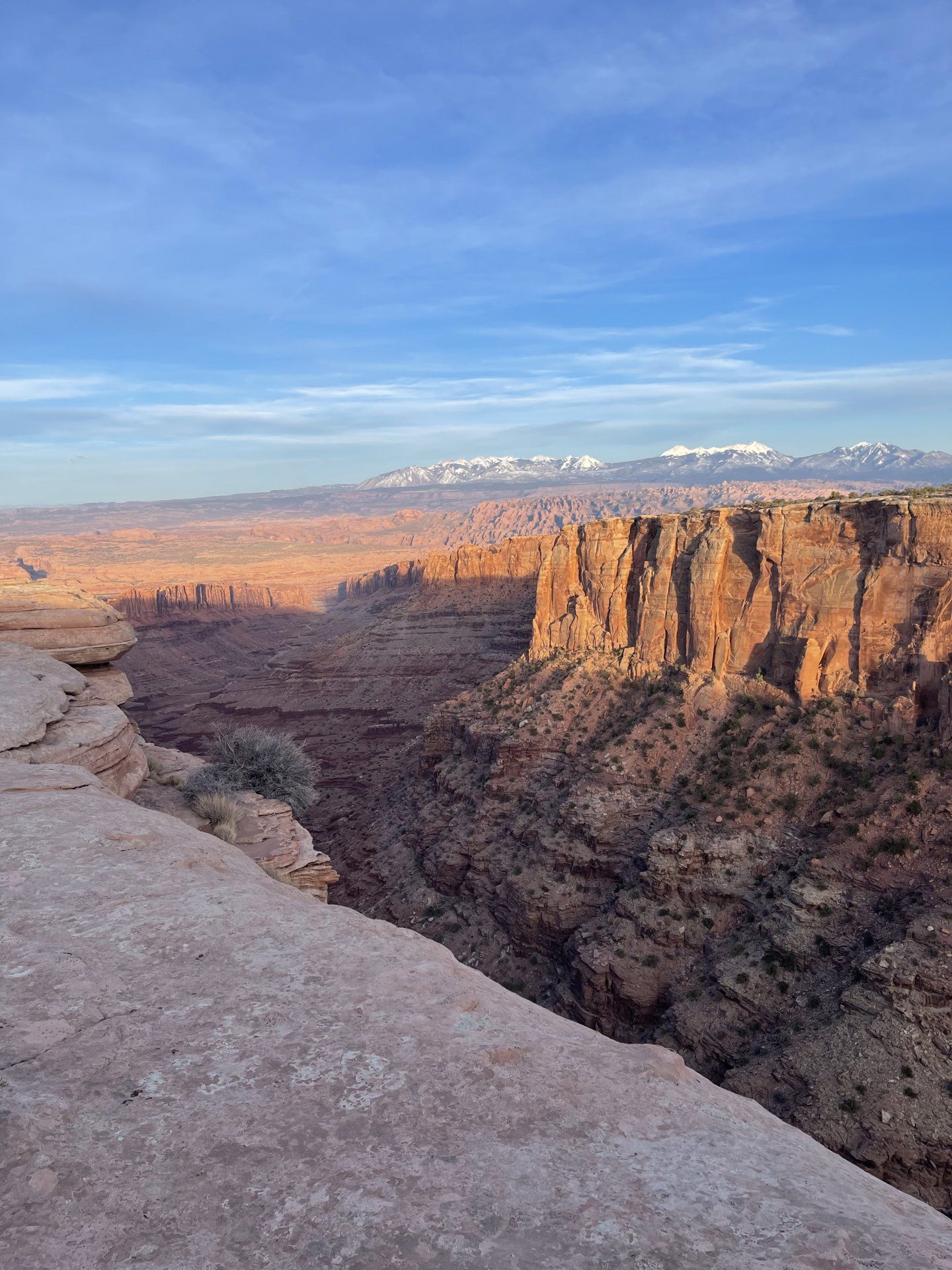 CA0AA229-06CC-4F33-B4D4-D8AE192A2F1F.jpeg