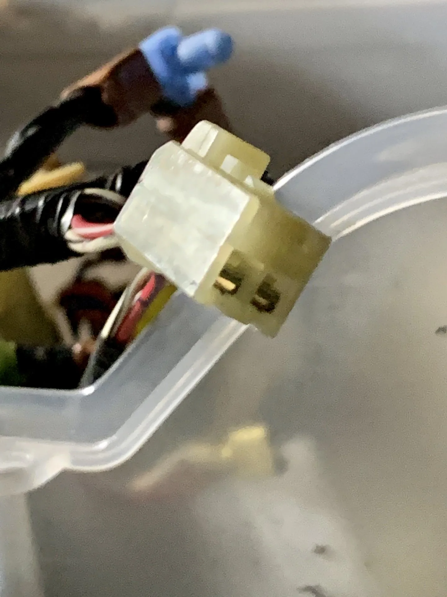 CA3F99B5-56DB-4584-A353-CE3DF92D5974.jpeg