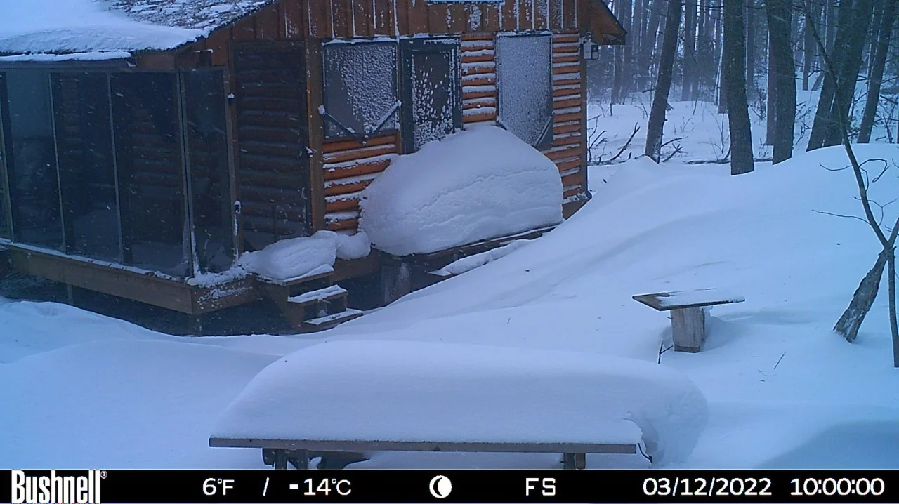 Cabin Winter.jpg
