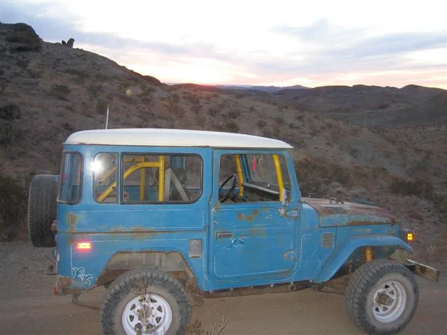 Calico 022 (Small).webp
