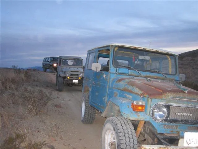 Calico 027 (Small).webp