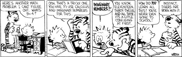 Calvin & Hobbes use imaginary numbers.gif