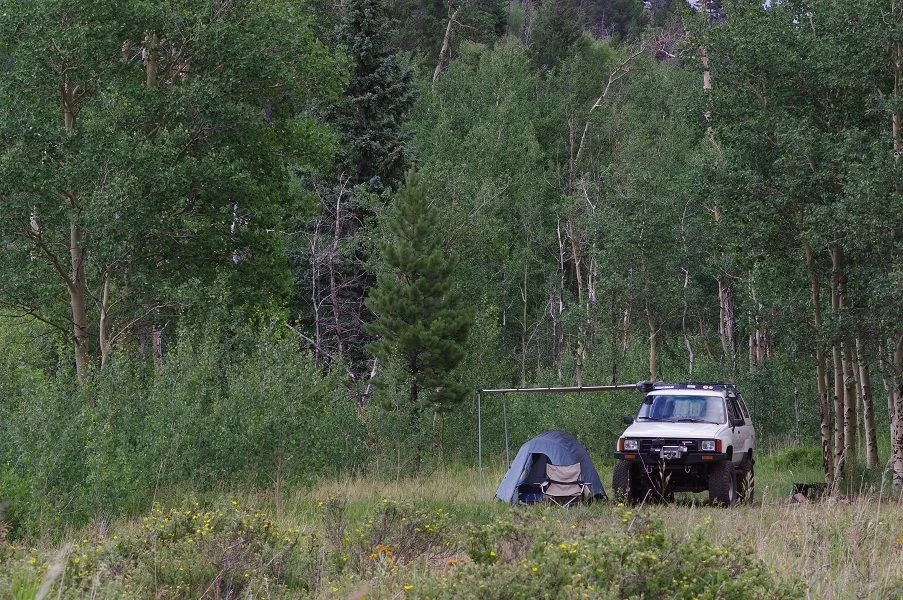 Camp (2)-sm.webp