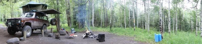Camp Bird Road.webp