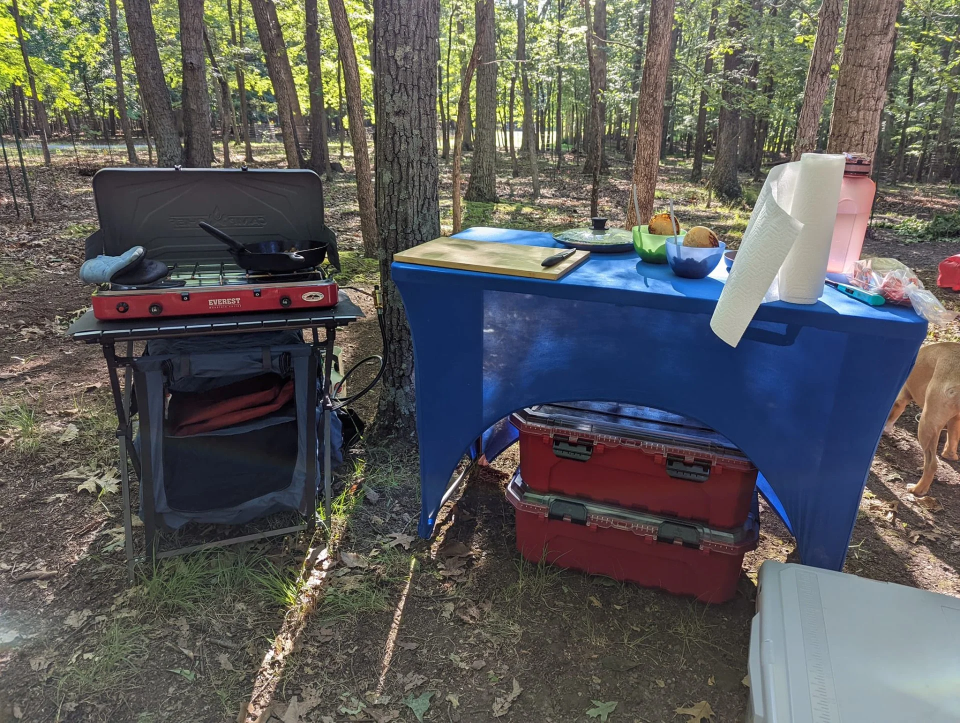 camp kitchen setup.webp