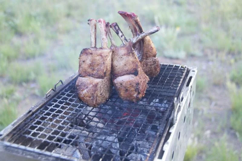 Camp lambchops.webp