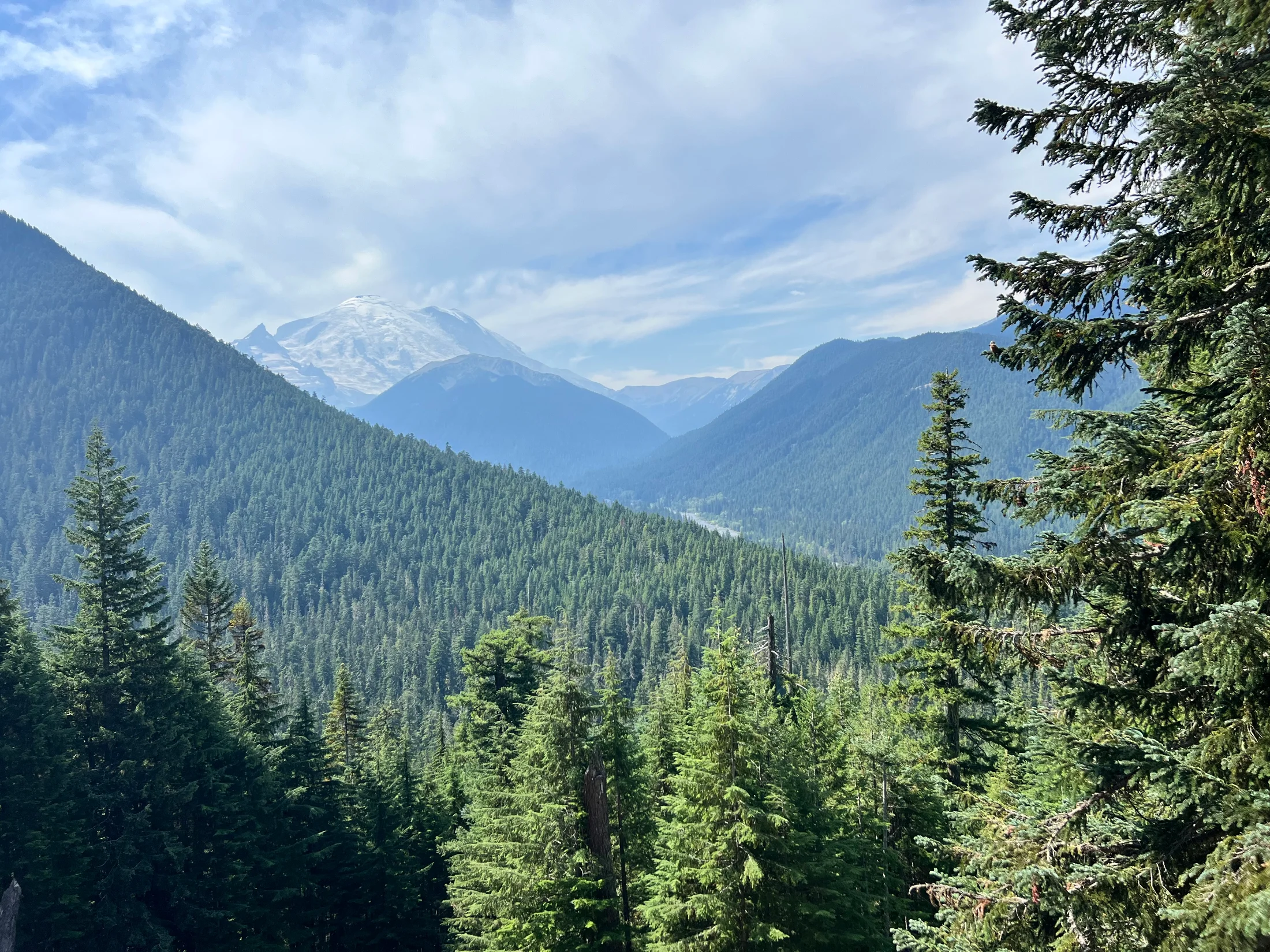 Camping4.webp