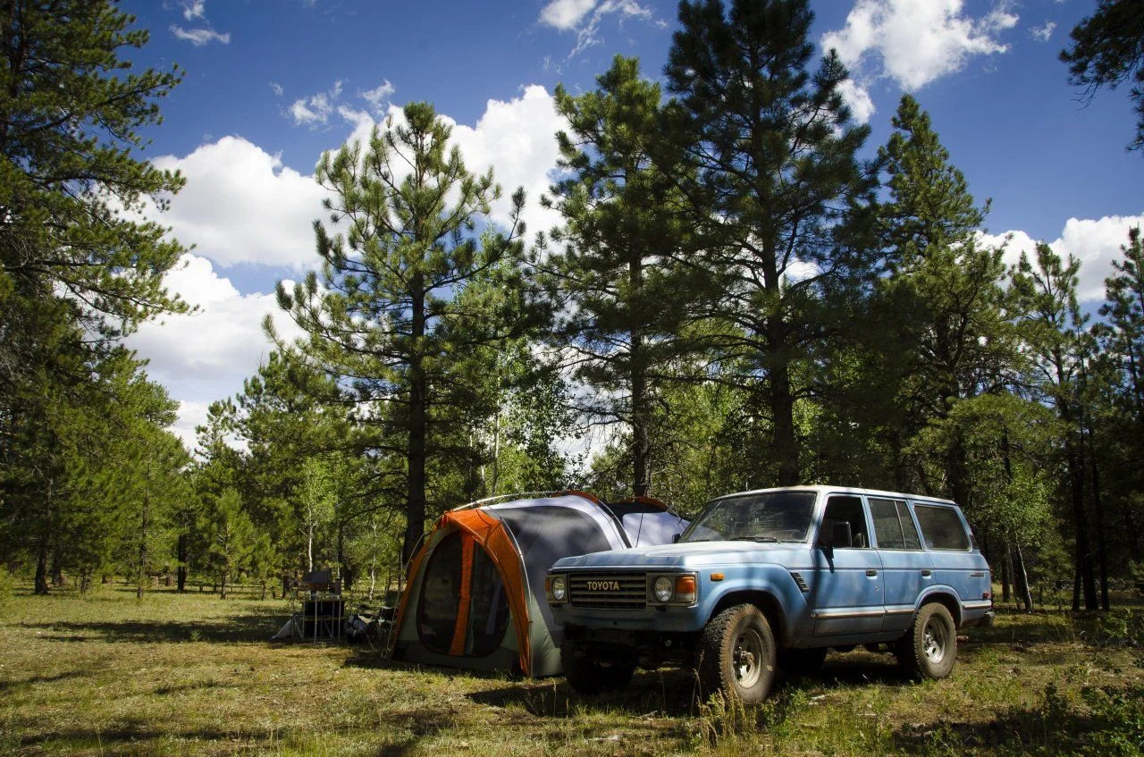 Campsite.webp