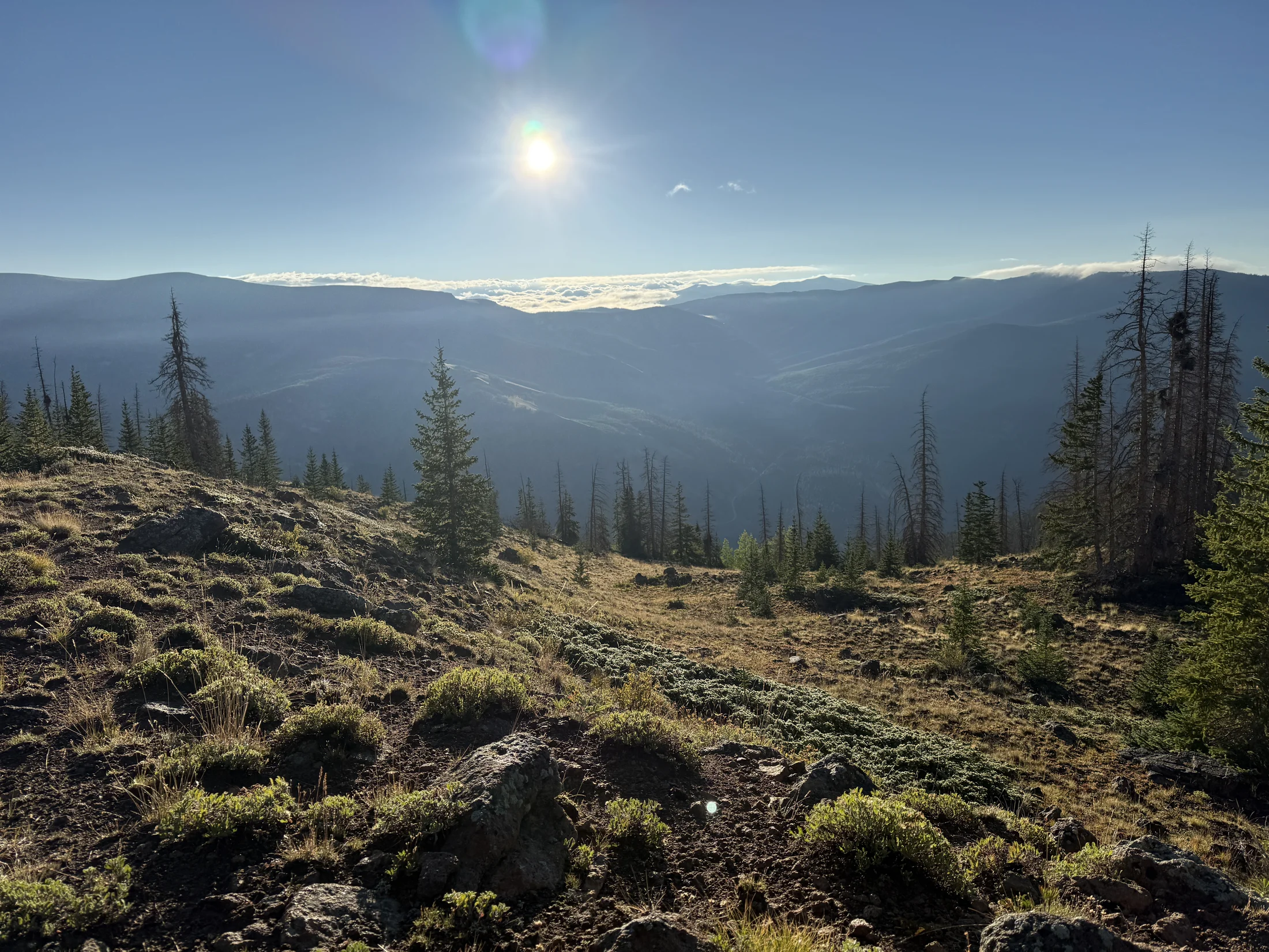 campsite1_view.webp