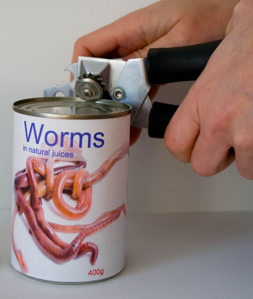 can of worms.jpg