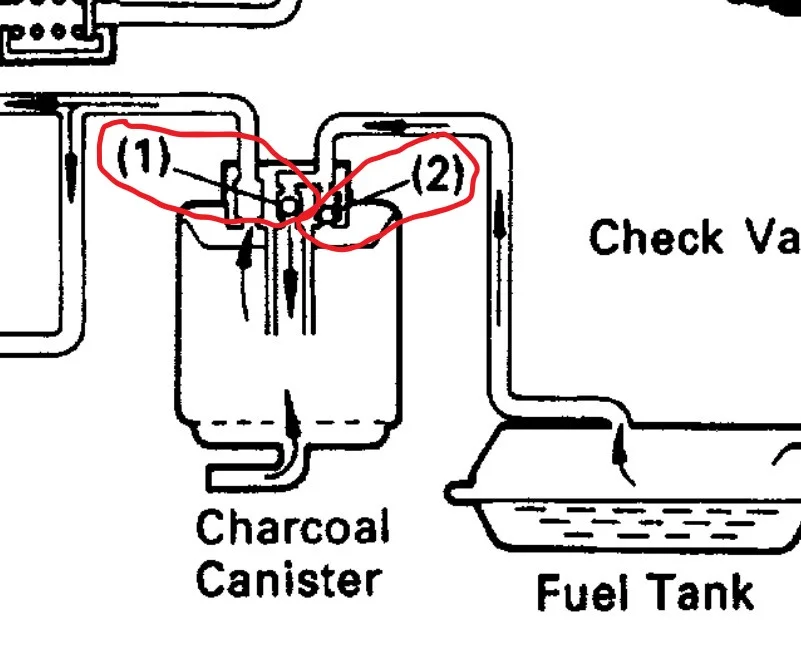 Canister Check Valves at Input.jpg