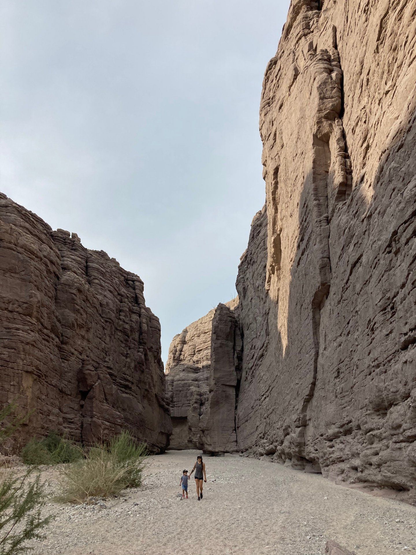 CANYON.jpg