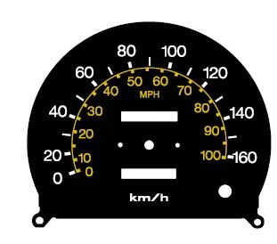 CaptureSpeedo3.JPG